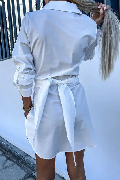 Daniela - Casual Simplicity Solid Pocket Shirt Collar Shirt Dress Dresses